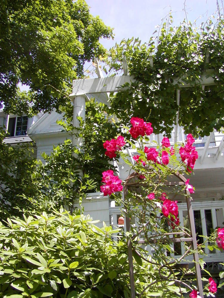 Arabian Horse Inn Sudbury 外观 照片